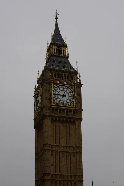 DSC_5799 (Large).JPG